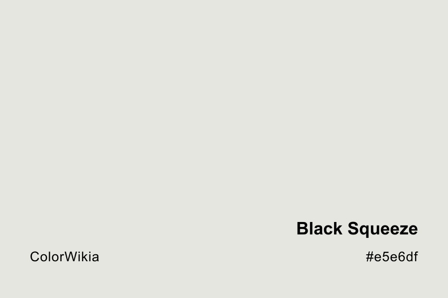 Black Squeeze Color – #e5e6df: Codes and Complete Breakdown
