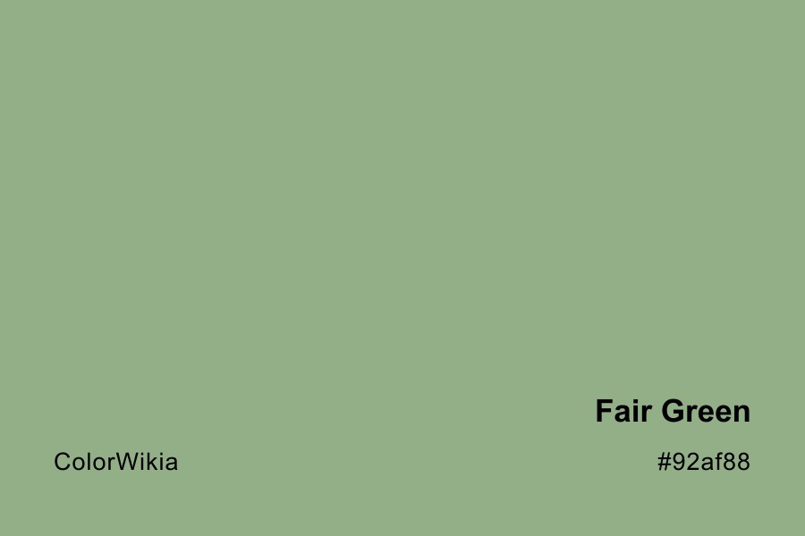 Fair Green Color – #92af88: Codes and Complete Breakdown