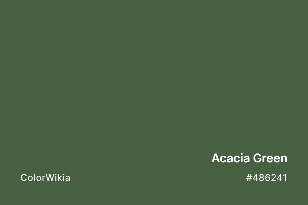 Acacia Green Color – #486241: Codes and Complete Breakdown