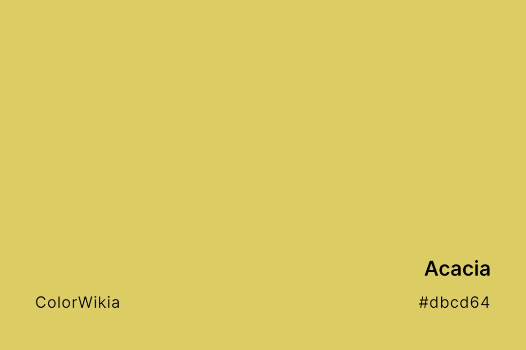 Acacia Color – #dbcd64: Codes and Complete Breakdown