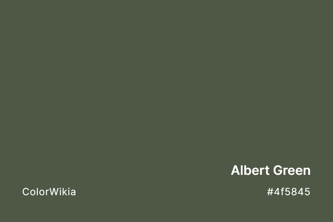 Albert Green Color – #4f5845: Codes and Complete Breakdown