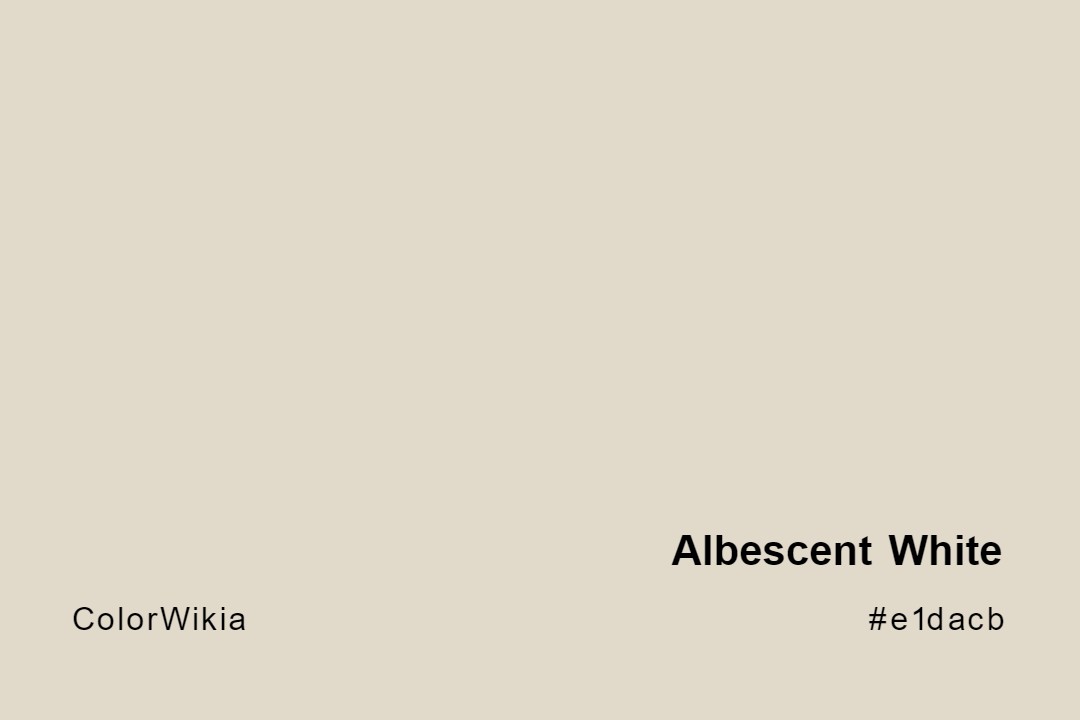 Albescent White Color – #e1dacb: Codes and Complete Breakdown
