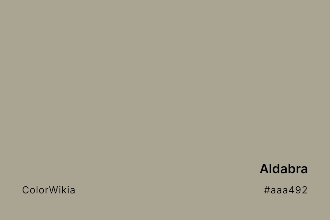 Aldabra Color – #aaa492: Codes and Complete Breakdown