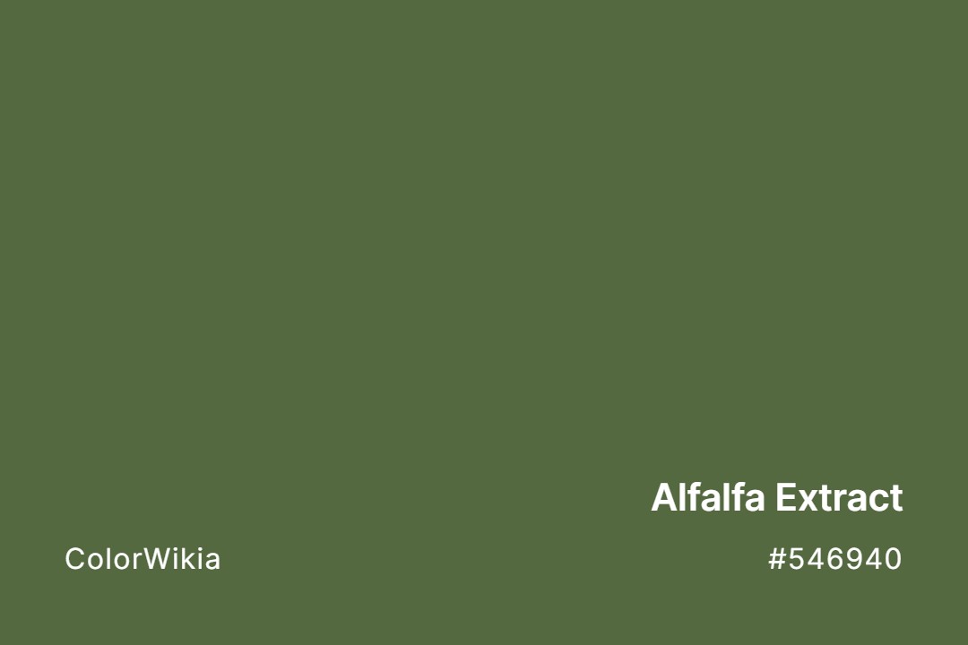 Alfalfa Extract Color – #546940: Codes and Complete Breakdown