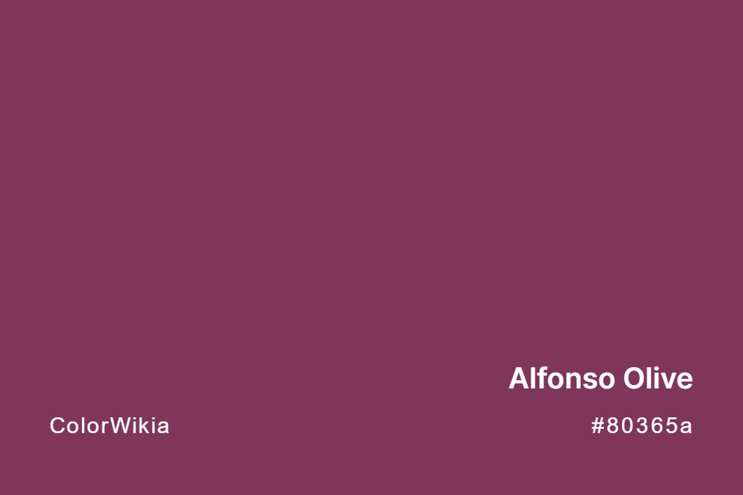 Alfonso Olive Color – #80365a: Codes and Complete Breakdown