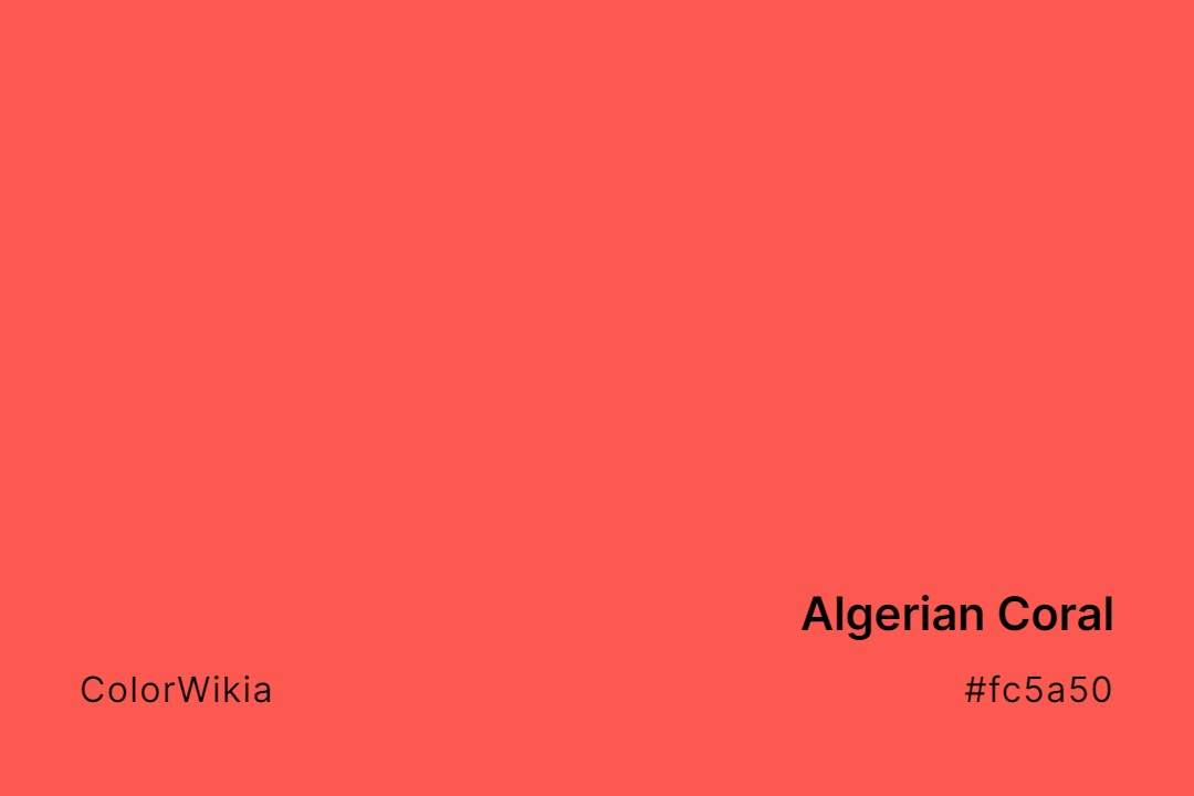 Algerian Coral Color – #fc5a50: Codes and Complete Breakdown