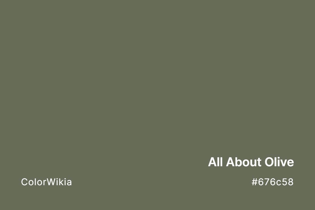 All About Olive Color – #676c58: Codes and Complete Breakdown