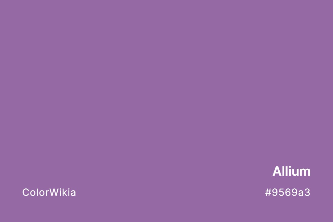 Allium Color – #9569a3: Codes and Complete Breakdown