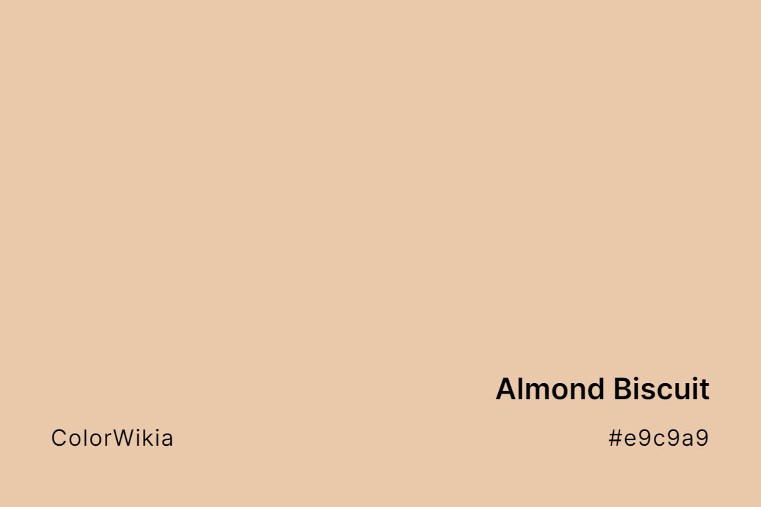 Almond Biscuit Color – #e9c9a9: Codes and Complete Breakdown