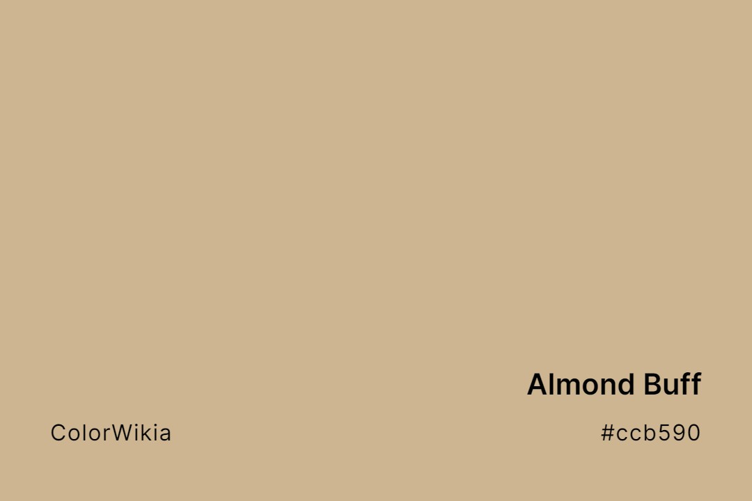 Almond Buff Color – #ccb590: Codes and Complete Breakdown
