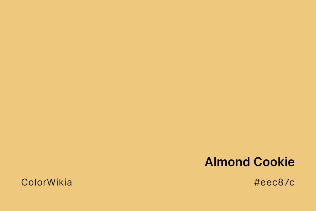 Almond Cookie Color – #eec87c: Codes and Complete Breakdown
