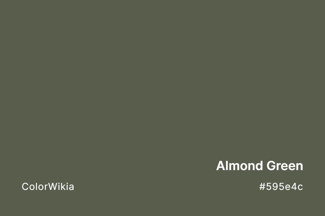 Almond Green Color – #595e4c: Codes and Complete Breakdown