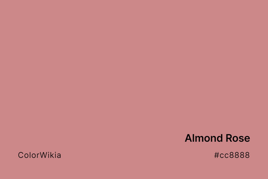Almond Rose Color – #cc8888: Codes and Complete Breakdown