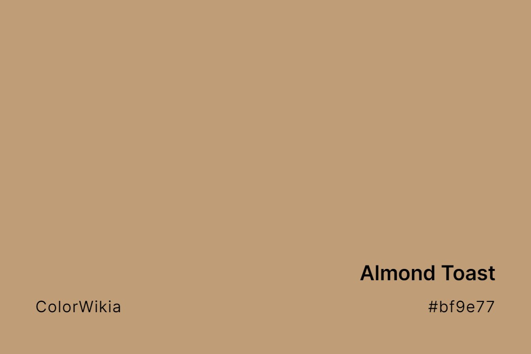 Almond Toast Color – #bf9e77: Codes and Complete Breakdown