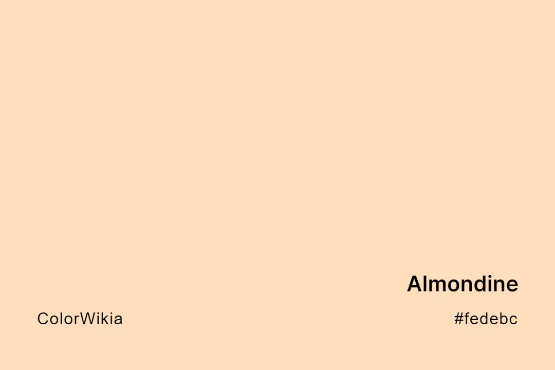 Almondine Color – #fedebc: Codes and Complete Breakdown