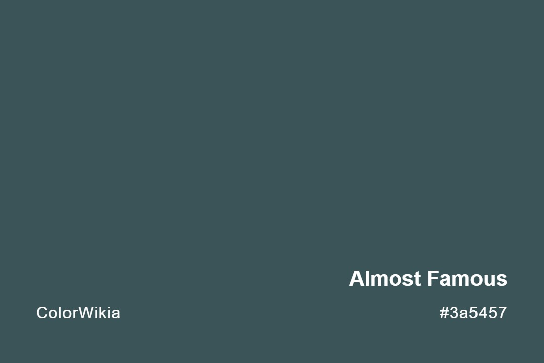 Almost Famous Color – #3a5457: Codes and Complete Breakdown