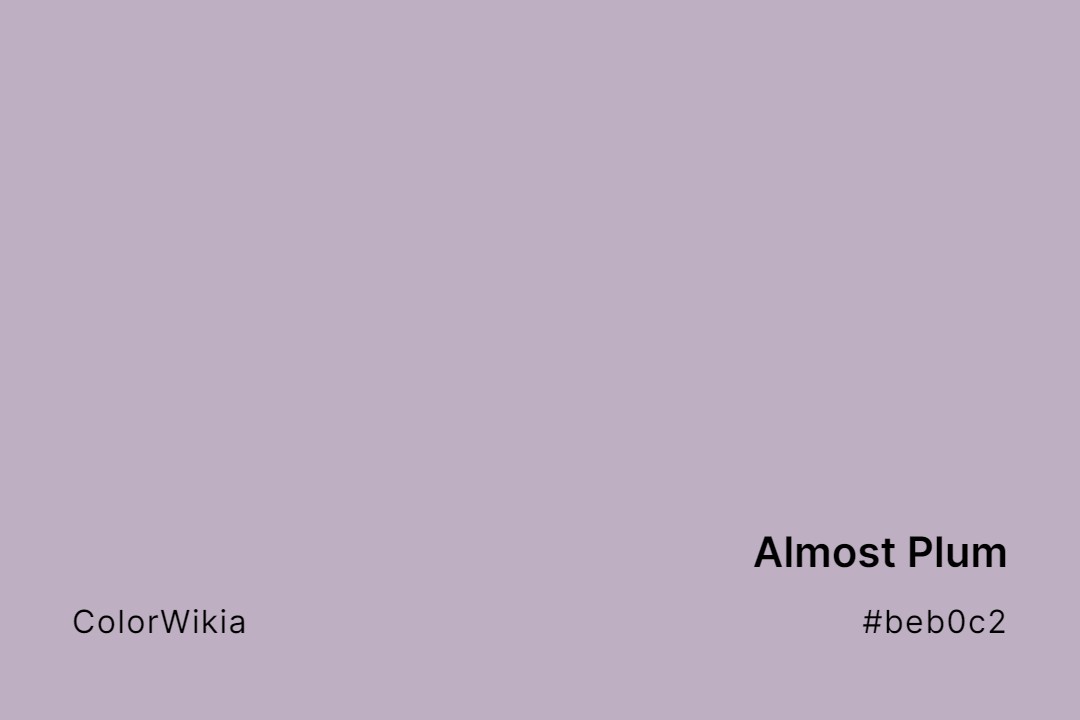 Almost Plum Color – #beb0c2: Codes and Complete Breakdown