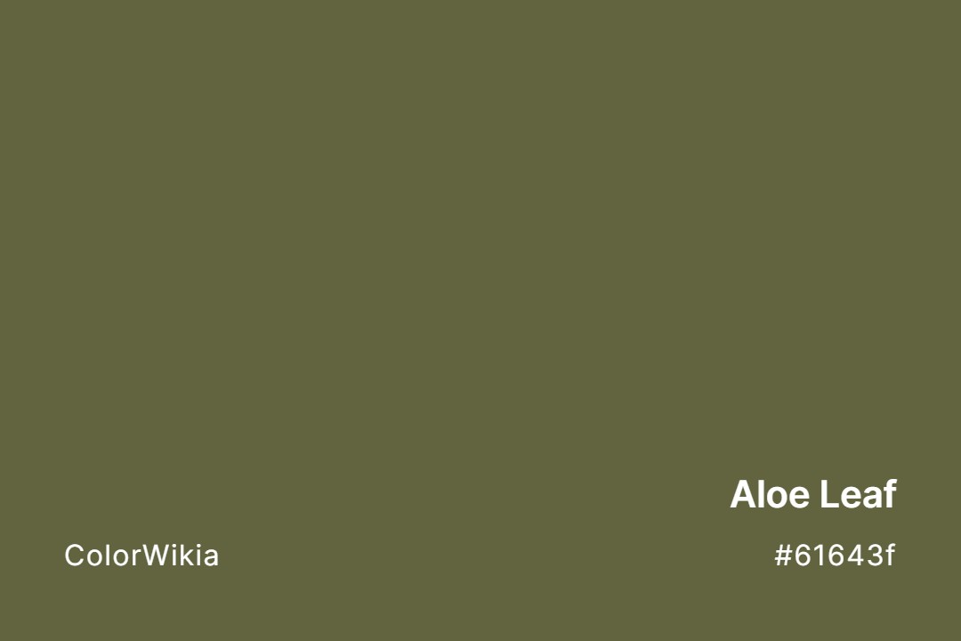 Aloe Leaf Color – #61643f: Codes and Complete Breakdown