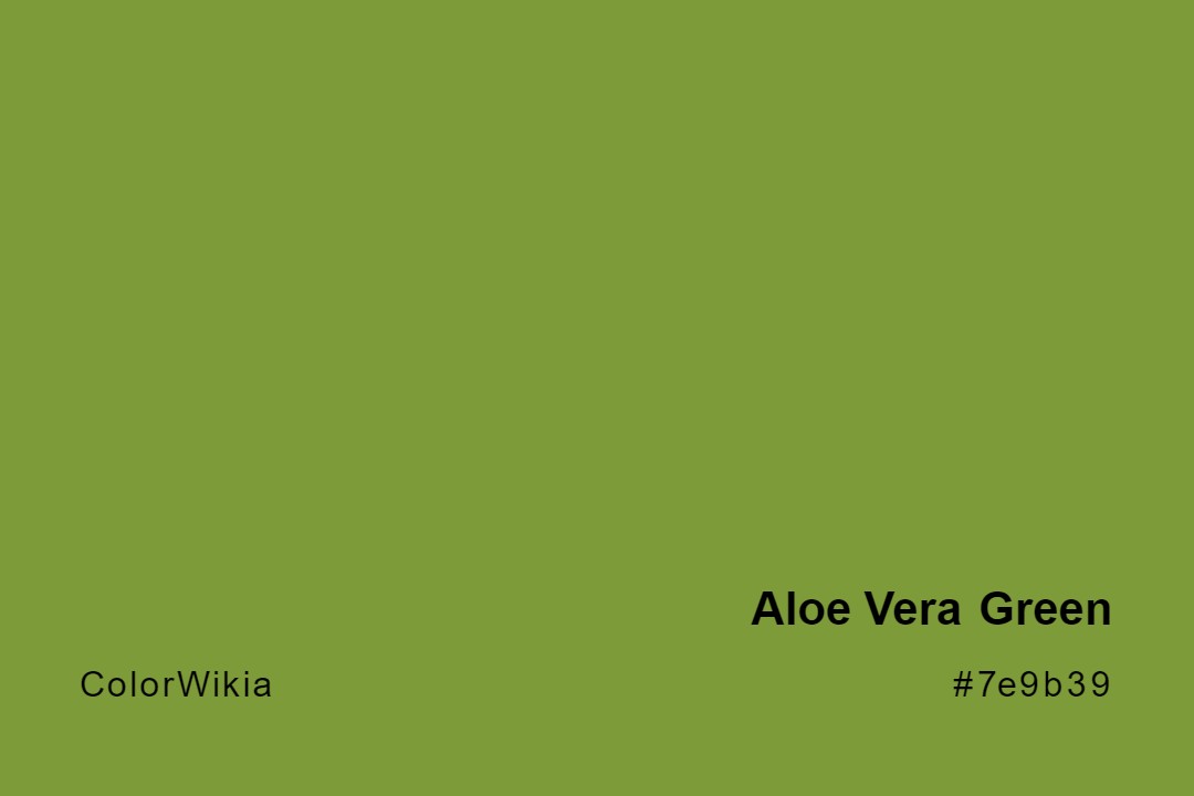 Aloe Vera Green Color – #7e9b39: Codes and Complete Breakdown