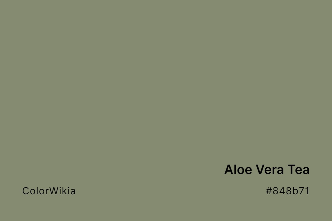 Aloe Vera Tea Color – #848b71: Codes and Complete Breakdown