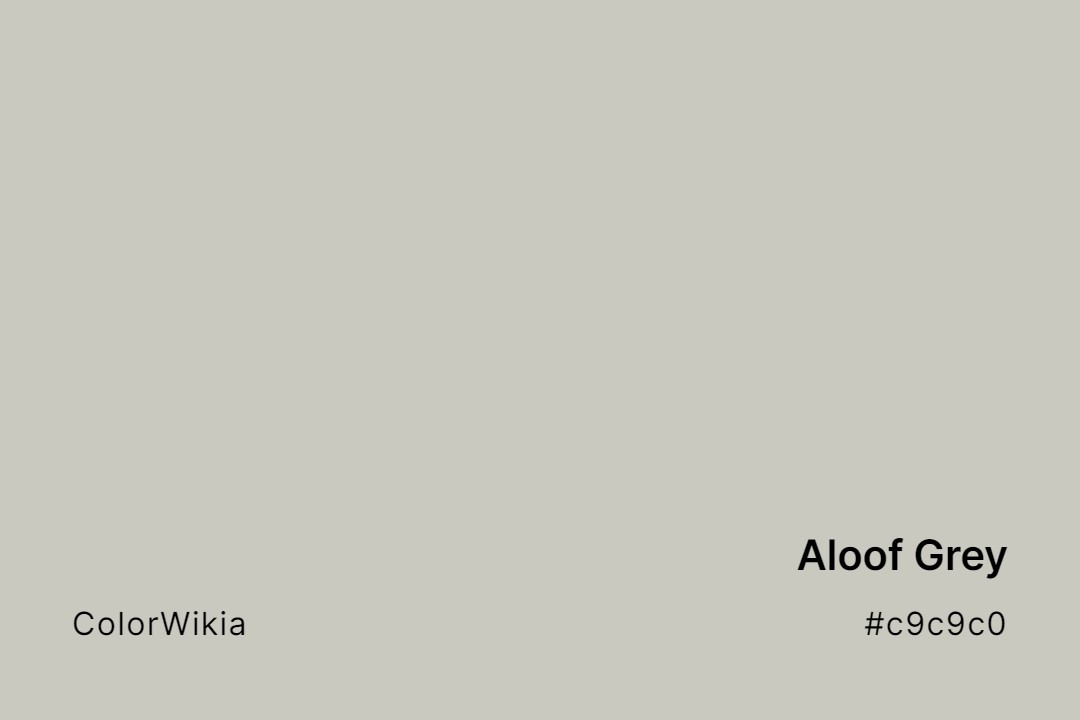 Aloof Grey Color – #c9c9c0: Codes and Complete Breakdown