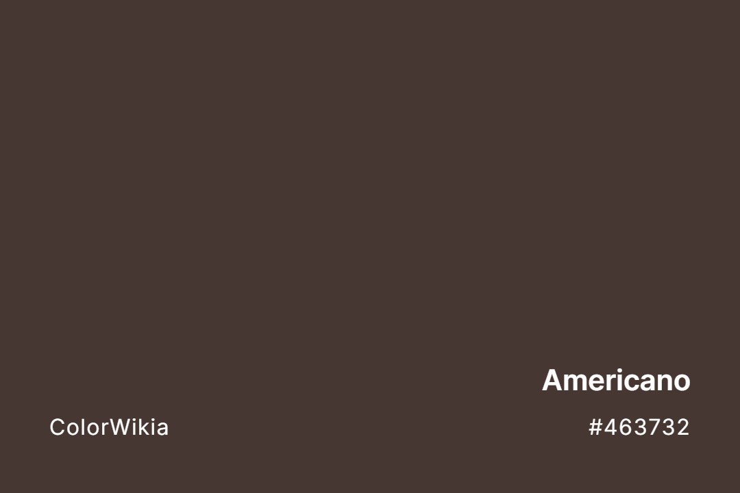 Americano Color – #463732: Codes and Complete Breakdown