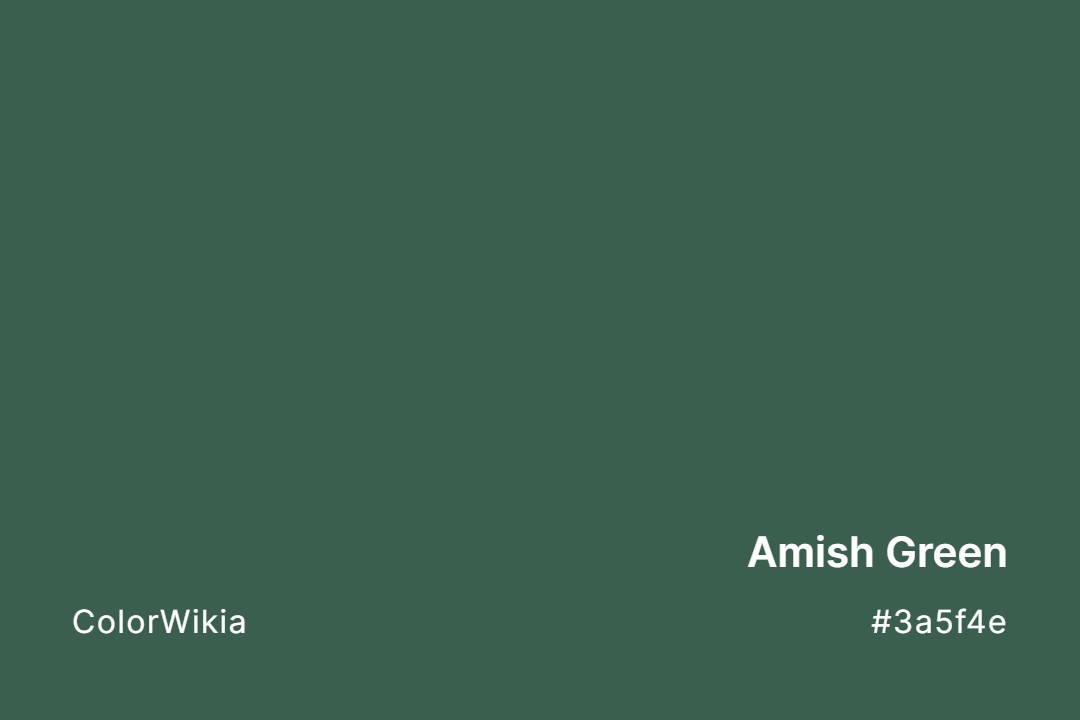 Amish Green Color – #3a5f4e: Codes and Complete Breakdown