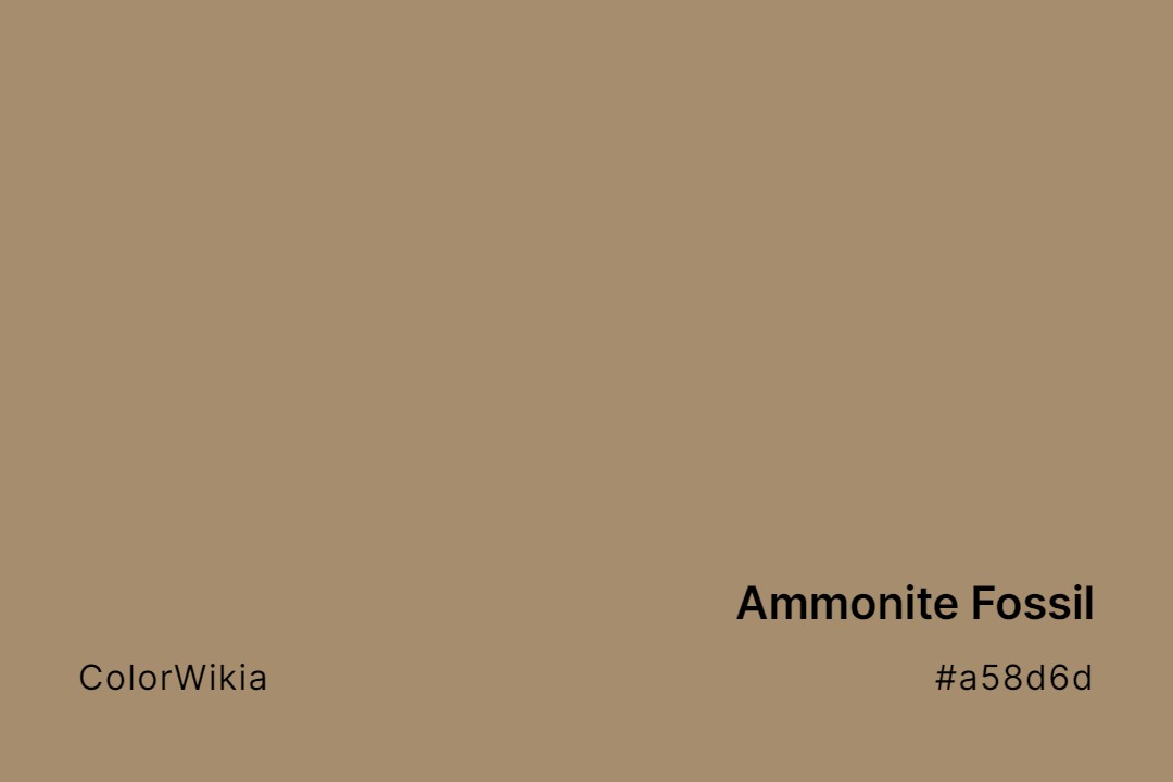 Ammonite Fossil Color – #a58d6d: Codes and Complete Breakdown
