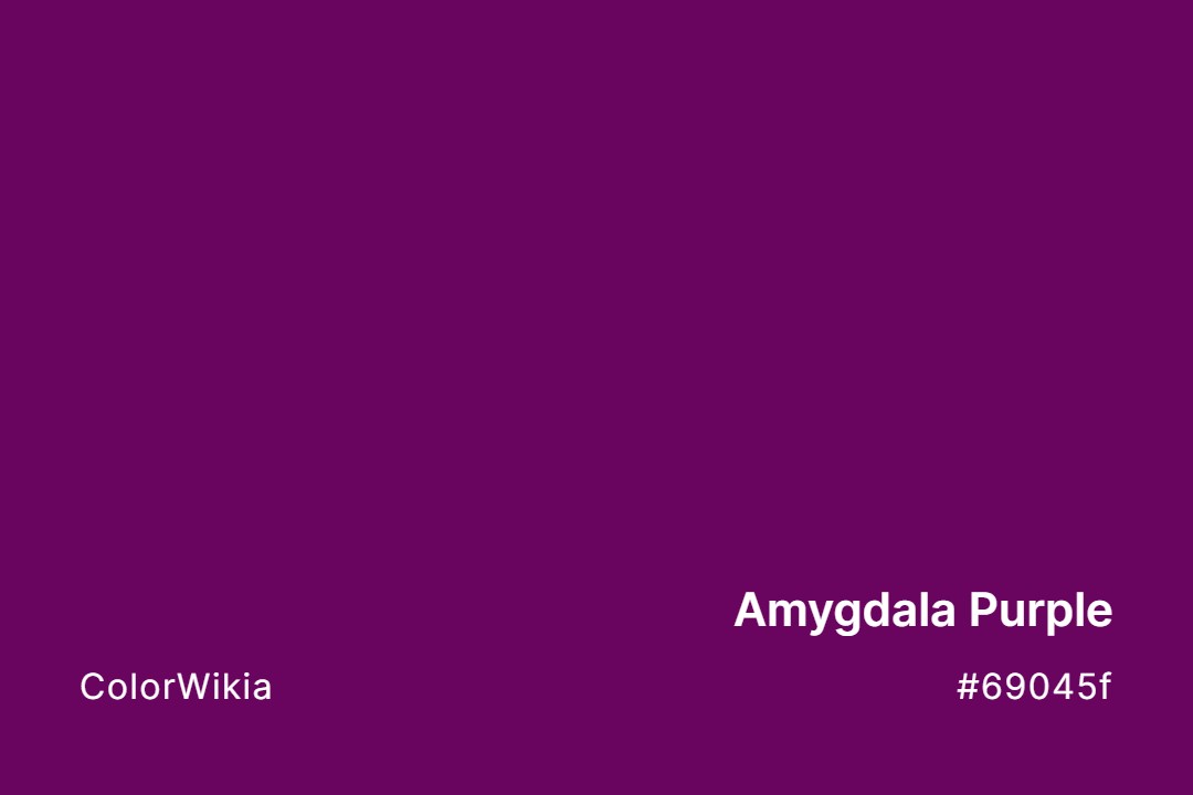 Amygdala Purple Color – #69045f: Codes and Complete Breakdown