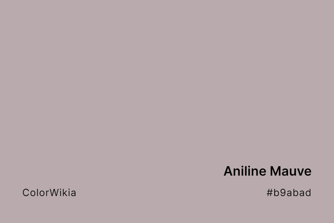 Aniline Mauve Color – #b9abad: Codes and Complete Breakdown