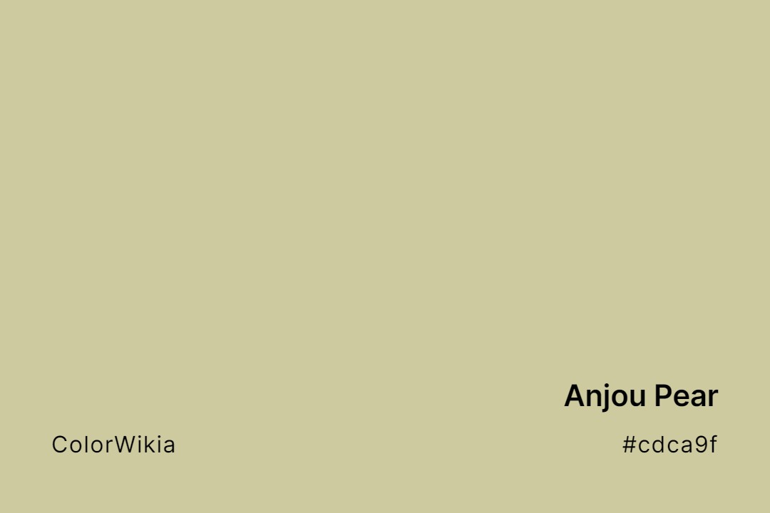 Anjou Pear Color – #cdca9f: Codes and Complete Breakdown