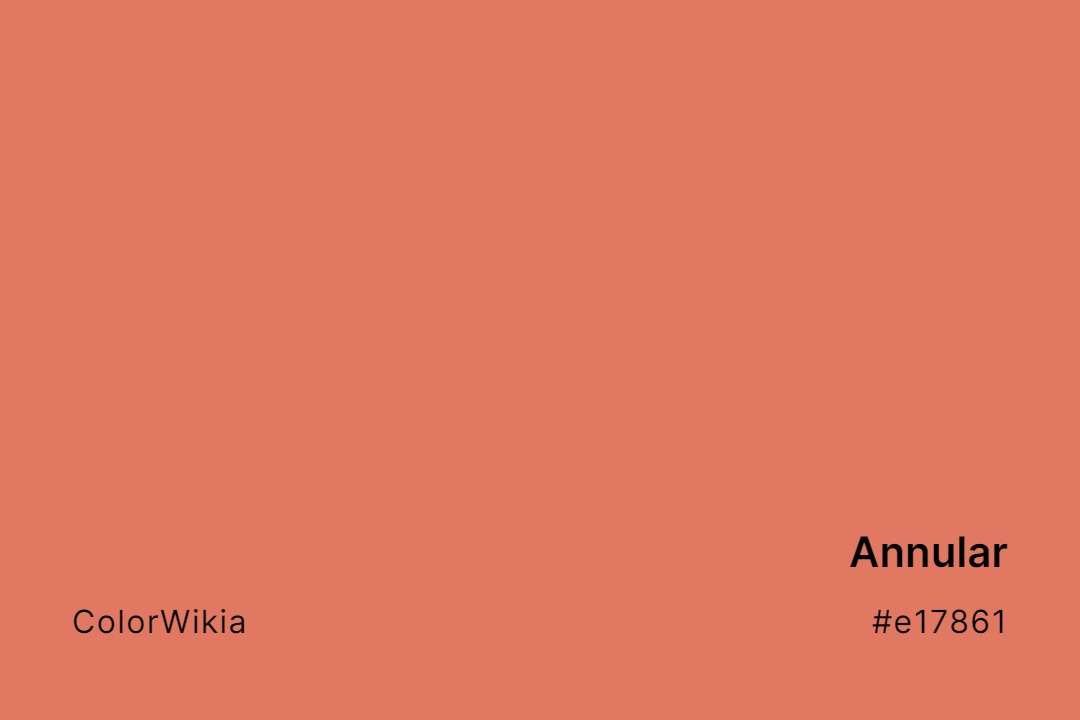 Annular Color – #e17861: Codes and Complete Breakdown