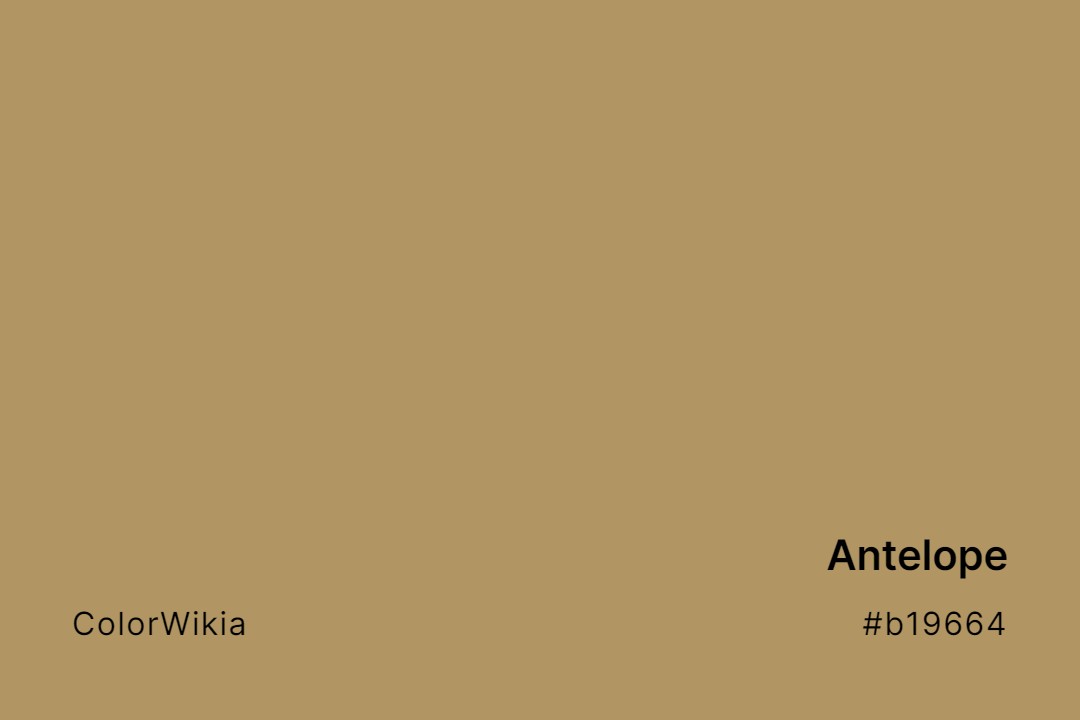 Antelope Color – #b19664: Codes and Complete Breakdown