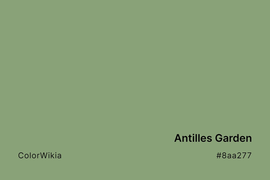Antilles Garden Color – #8aa277: Codes and Complete Breakdown