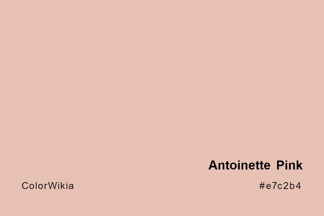 Antoinette Pink Color – #e7c2b4: Codes and Complete Breakdown