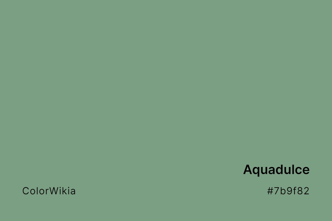 Aquadulce Color – #7b9f82: Codes and Complete Breakdown