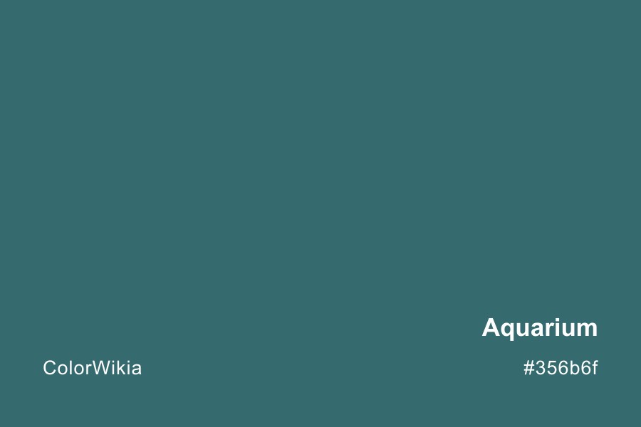 Aquarium Color – #356b6f: Codes and Complete Breakdown