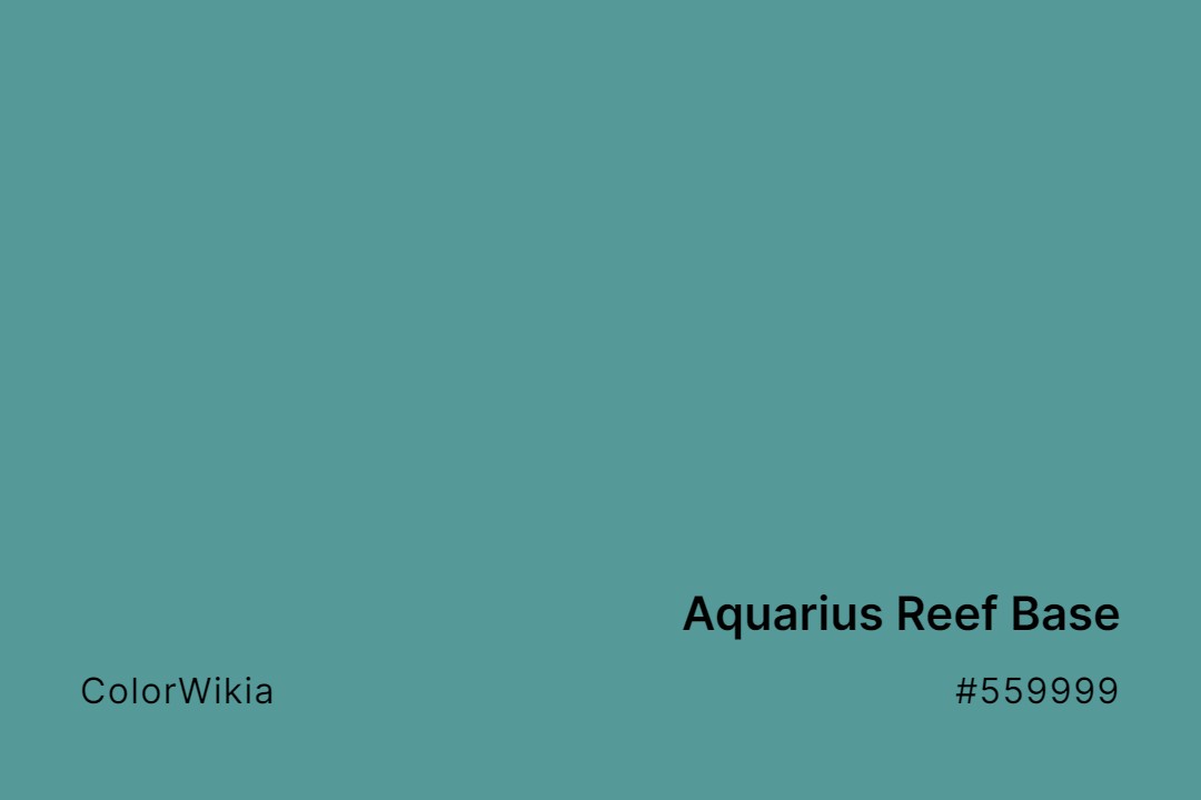 Aquarius Reef Base Color – #559999: Codes and Complete Breakdown