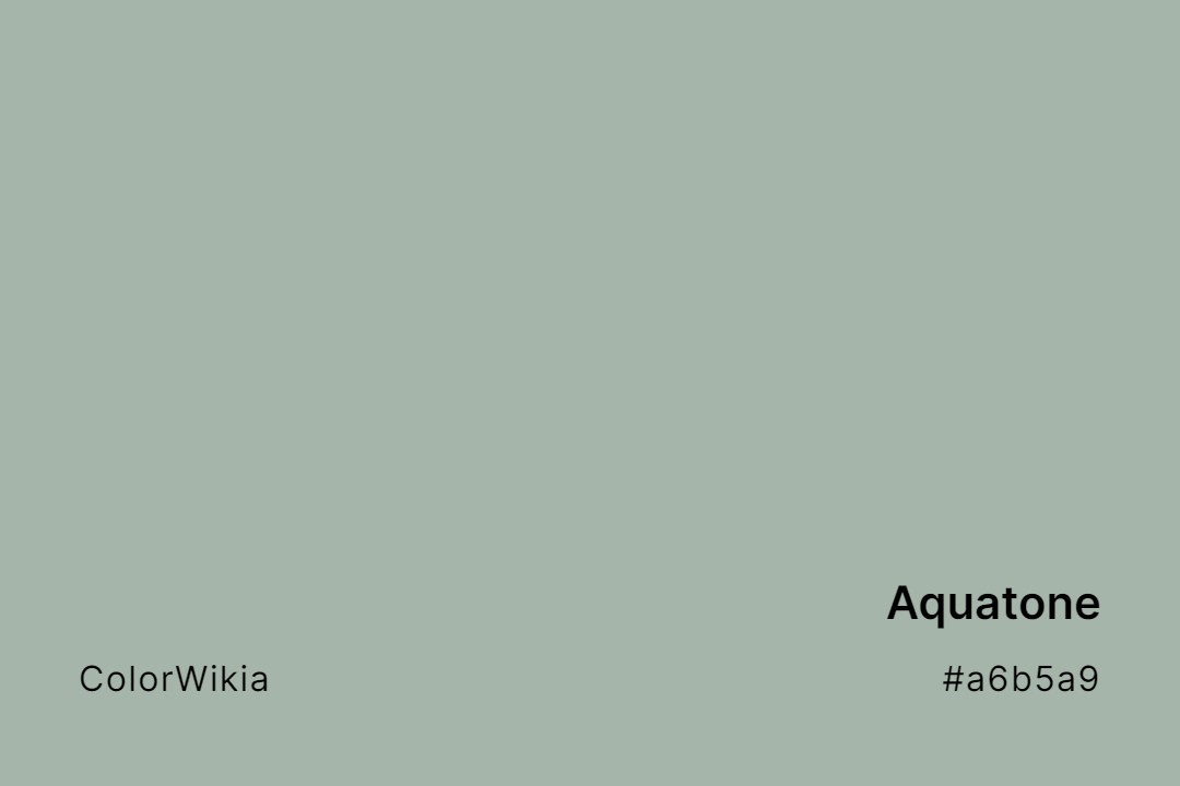 Aquatone Color – #a6b5a9: Codes and Complete Breakdown