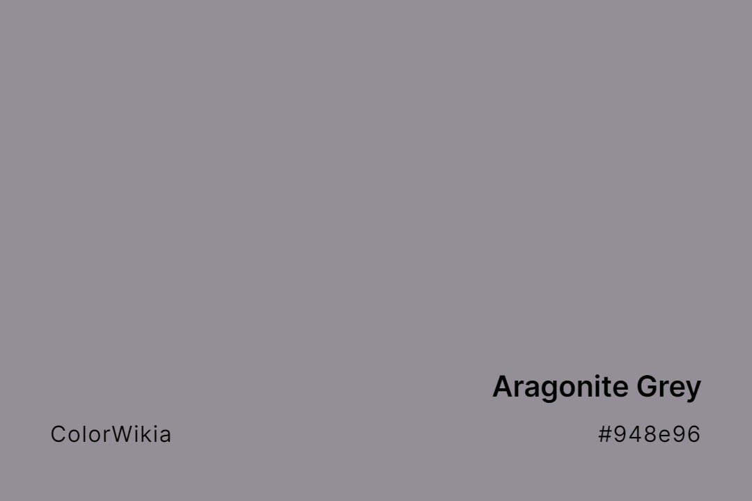 Aragonite Grey Color – #948e96: Codes and Complete Breakdown