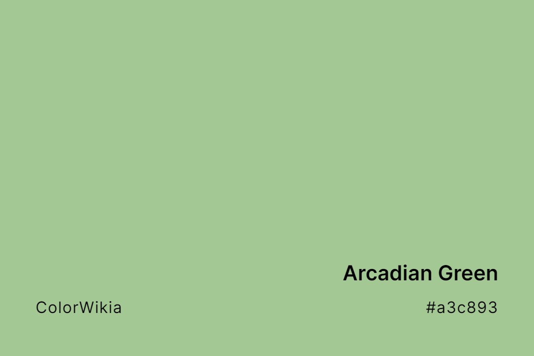 Arcadian Green Color – #a3c893: Codes and Complete Breakdown
