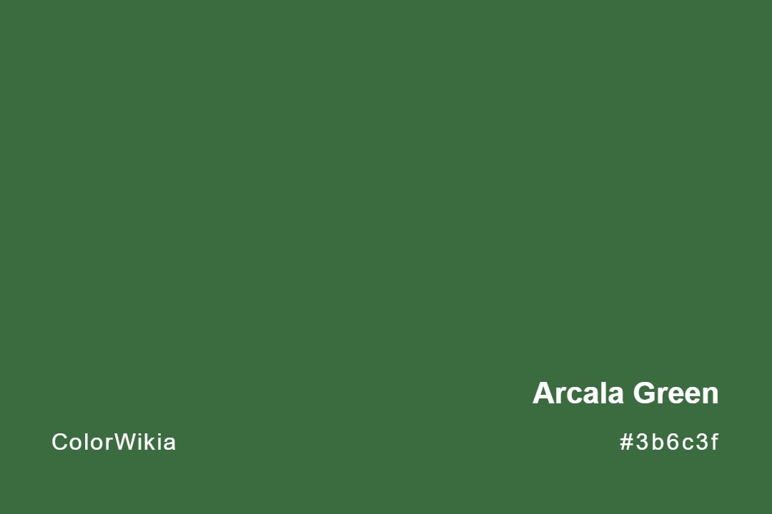 Arcala Green Color – #3b6c3f: Codes and Complete Breakdown