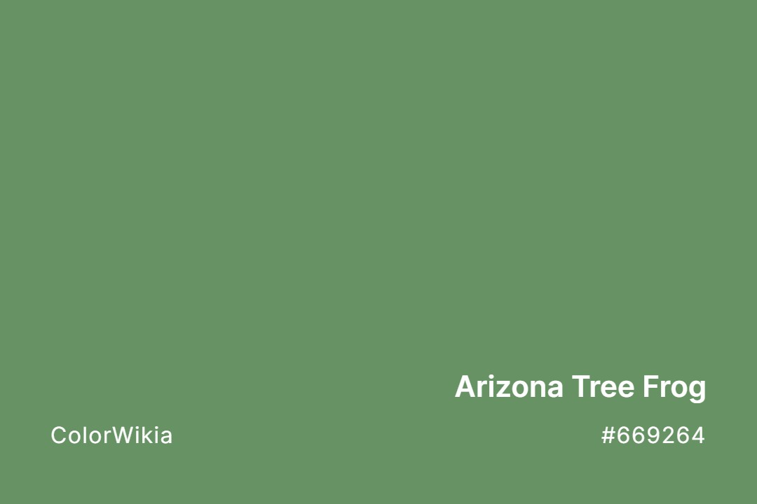arizona tree frog color 669264