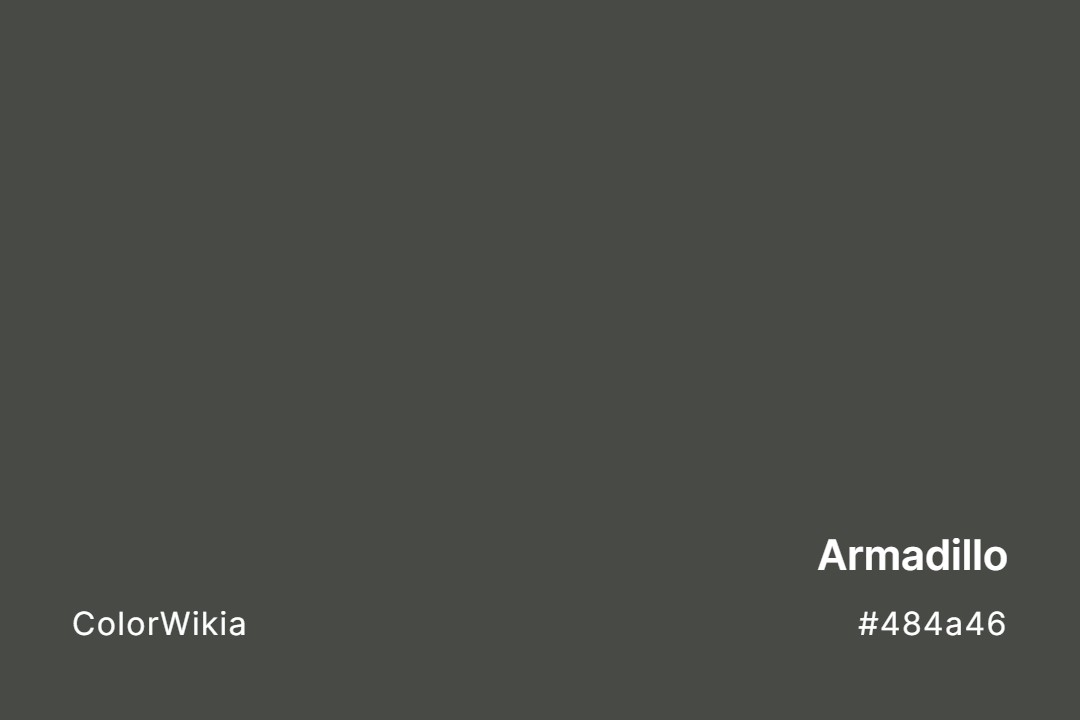 Armadillo Color – #484a46: Codes and Complete Breakdown