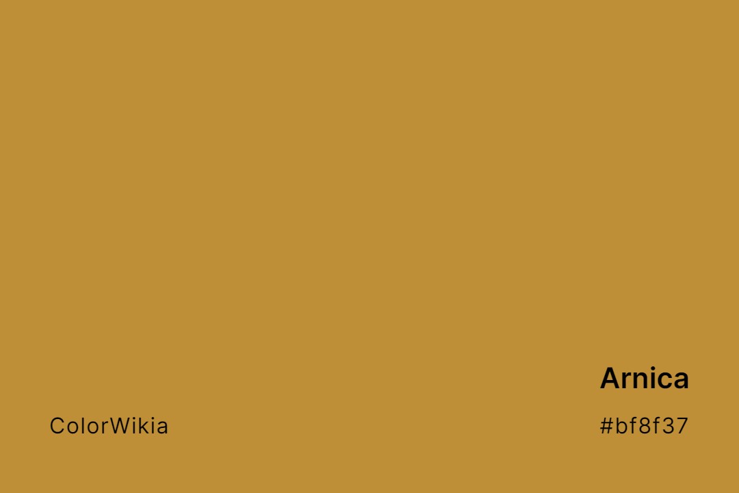 Arnica Color – #bf8f37: Codes and Complete Breakdown