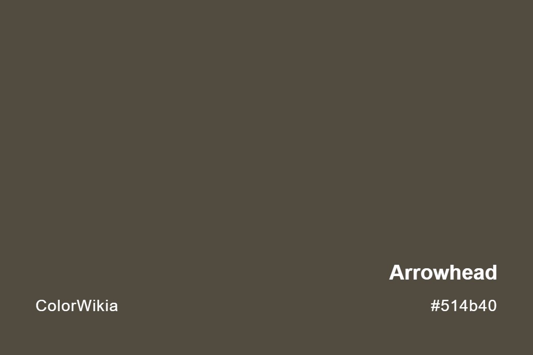 Arrowhead Color – #514b40: Codes and Complete Breakdown
