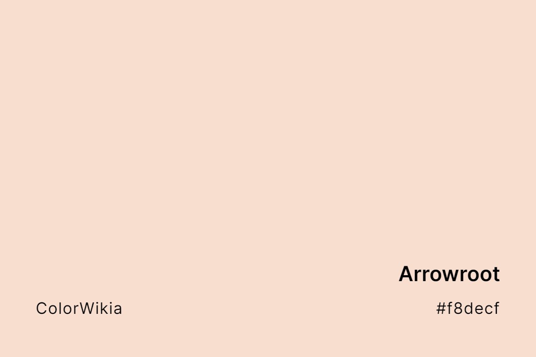 Arrowroot Color – #f8decf: Codes and Complete Breakdown