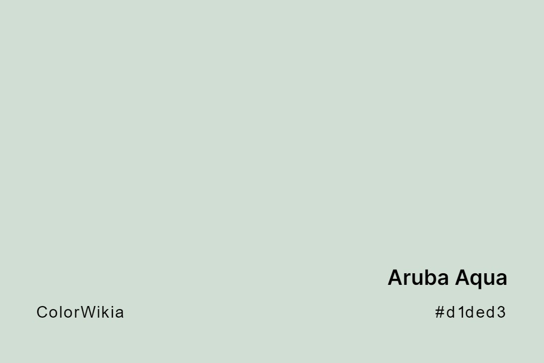 Aruba Aqua Color – #d1ded3: Codes and Complete Breakdown