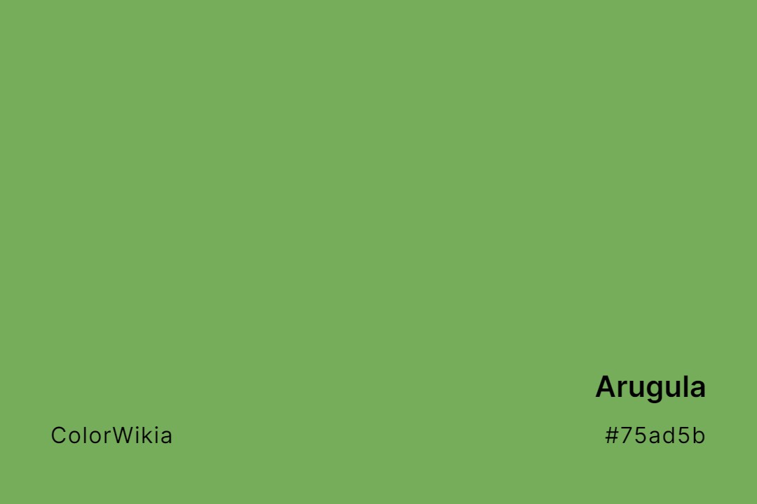 Arugula Color – #75ad5b: Codes and Complete Breakdown
