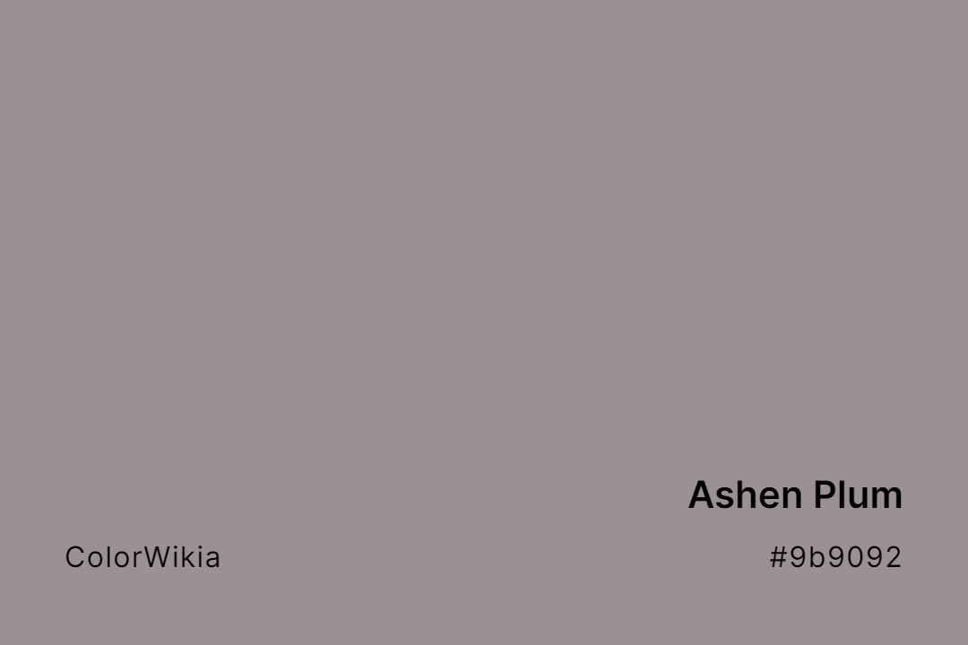 Ashen Plum Color – #9b9092: Codes and Complete Breakdown
